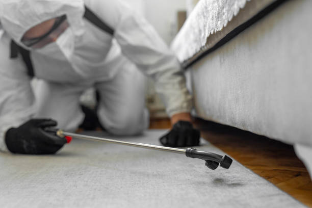 Professional Bed Bug Control technician working in Columbus, NC